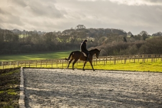 Trew Eventing facilities