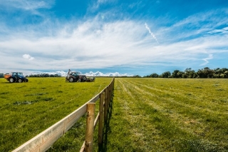 Trew Eventing facilities